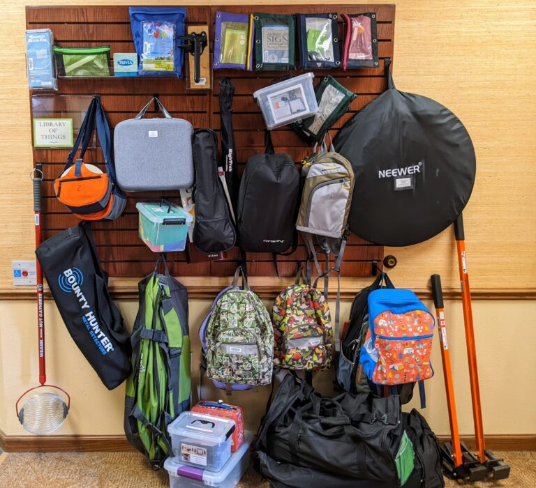 Caestecker Public Library Library of Things