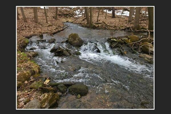 Powell Spring: Significance and History